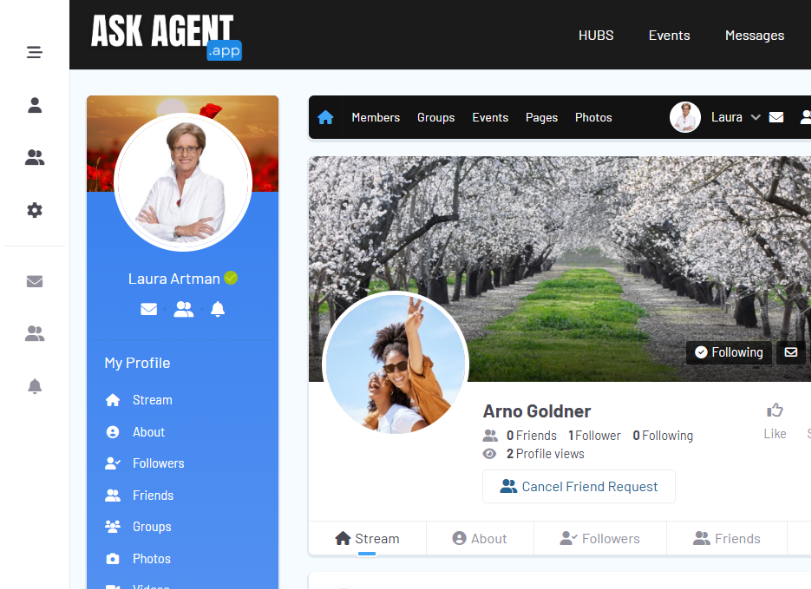 Ask Agent App - Responsive