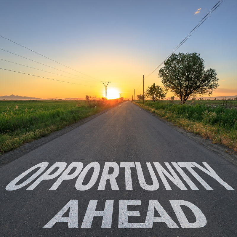 Seeking Opportunity – A Journey of Proactive Growth