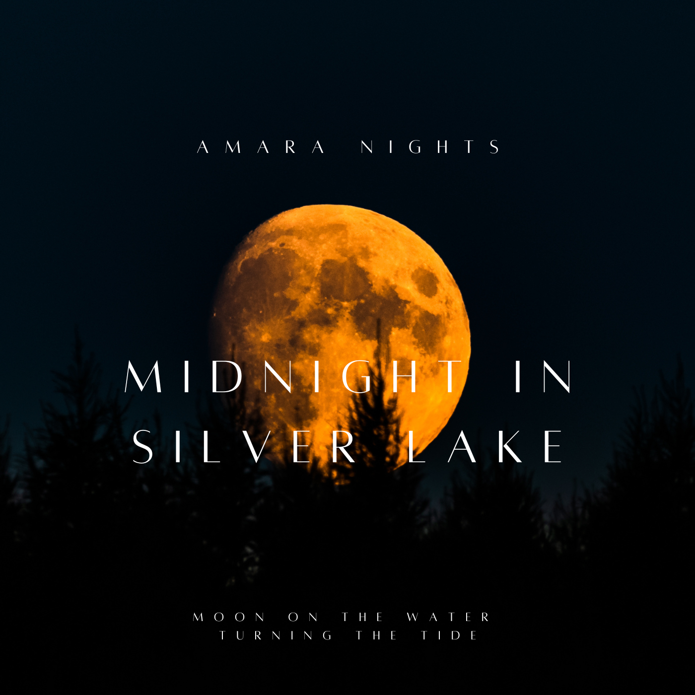 Midnight in Silver Lake